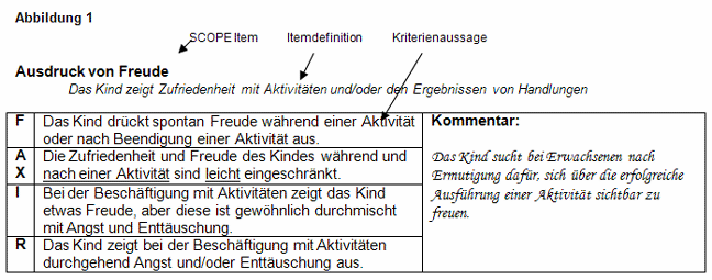 Beispiel für die Bewertungsskala